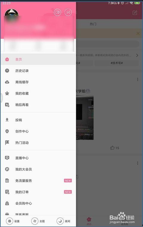 动作在线视频播放网站,动作在线视频网站深度解析