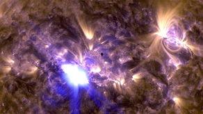 大太阳在线视频播放