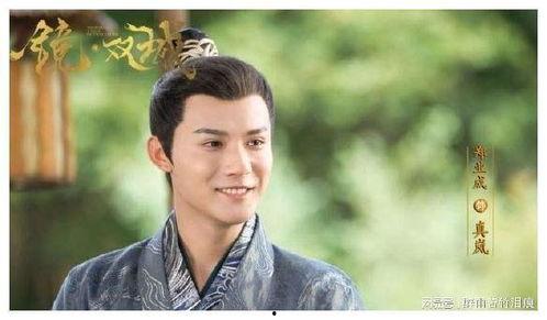 郑业成在线视频,魅力演绎，情感共鸣