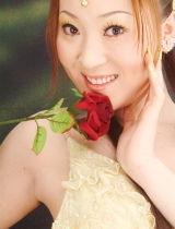 郁金香最新在线视频播放,最新在线视频带你领略春日花潮