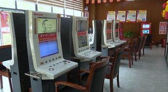 东莞中福在线视频